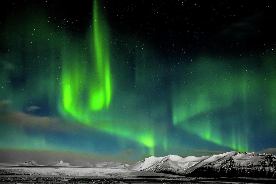 Northern Lights, Iceland Photograph by Tom and Pat Cory