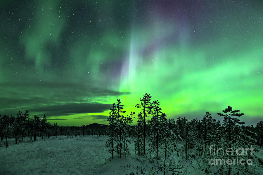 Northern Lights In Winter Photograph