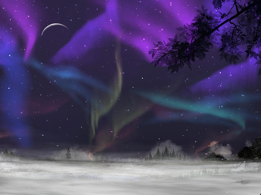 Northern Lights Digital Art by Kristin Mccord | Fine Art America