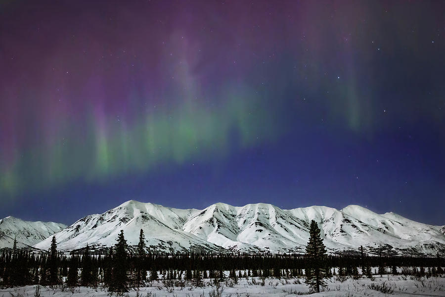 Northern Lights over Alaska Range Photograph by Alex Mironyuk