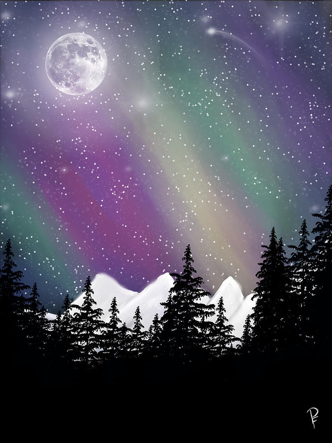 Northern Lights Winters Night Digital Art by Penny FireHorse