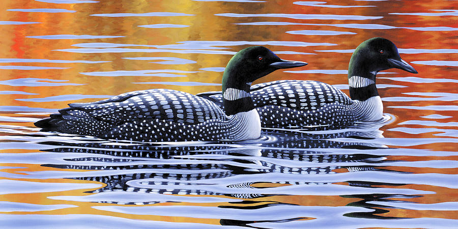 Northern Loons Painting