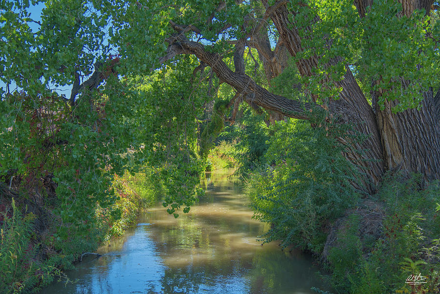 Landscape Photograph - Northern New Mexico Acequia by Richard Estrada