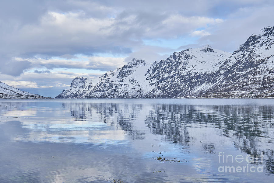 Northern Norway Photograph by Brian Kamprath