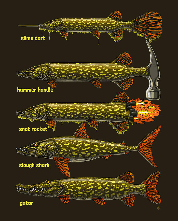 Northern Pike Digital Art by David Burgess Fine Art America