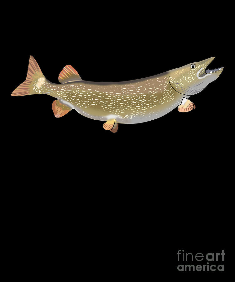 Northern Pike Drawing Fishing Freshwater Fish Gift Digital Art by Lukas