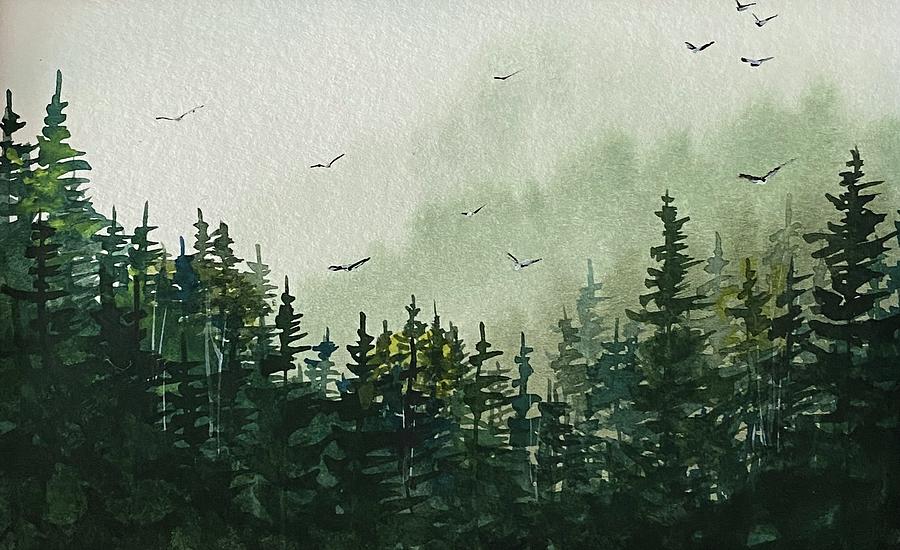 Northern Pines in the Mist Painting by Kellie Chasse