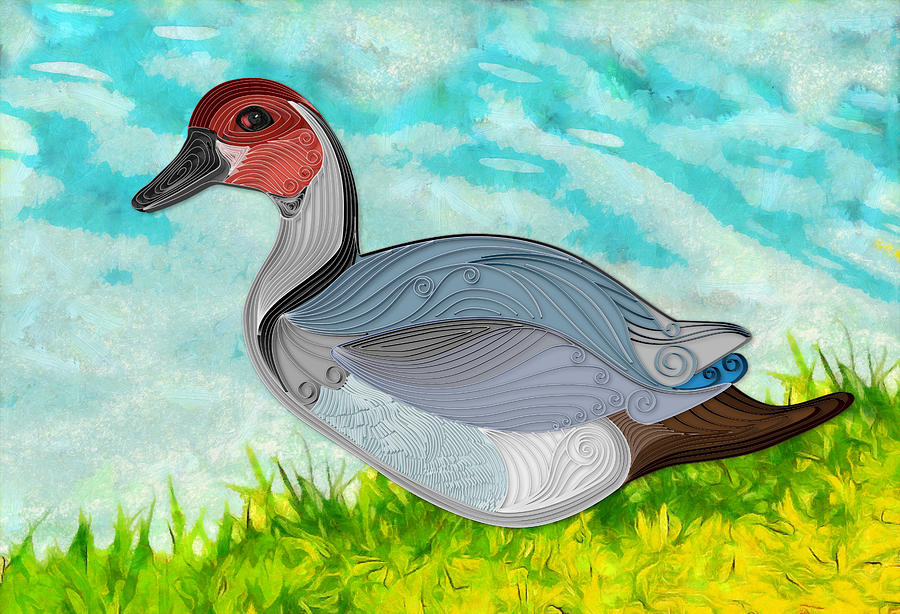 Northern Pintail Duck - Variation - Only A Fine Day Digital Art