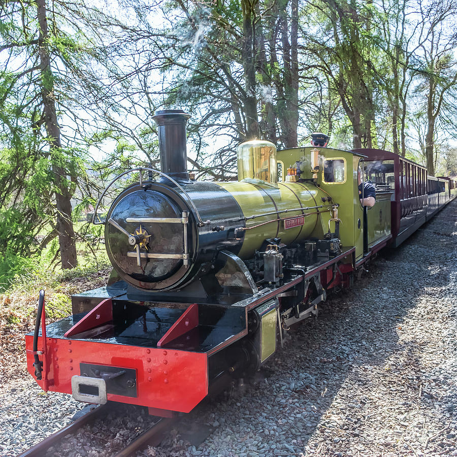 Northern Rock Steam Locomotive Photograph by Keith Douglas - Fine Art ...