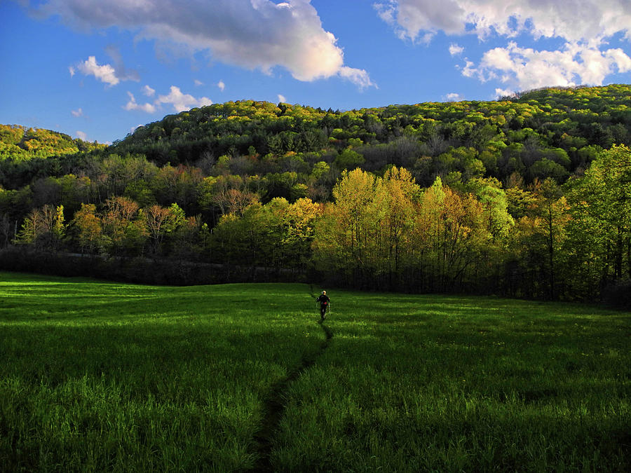 Northern Vermont Appalachian Trail Hiker Photograph by Raymond Salani III
