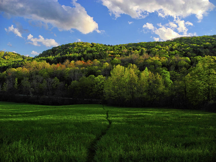 Northern Vermont Appalachian Trail Photograph by Raymond Salani III