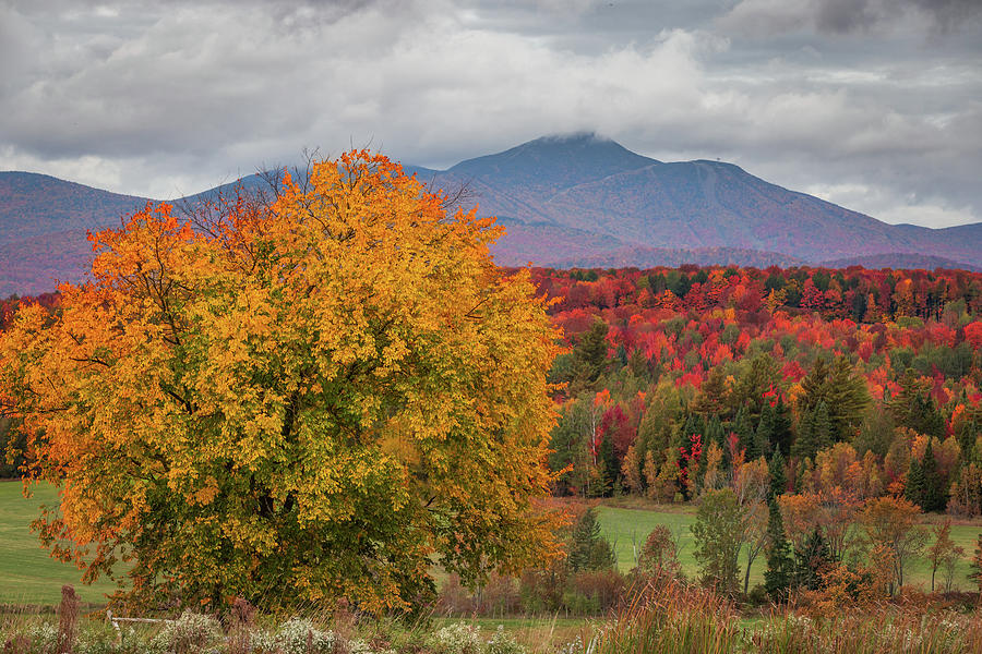 Northern Vermont Autumn Photograph by Tim Kirchoff
