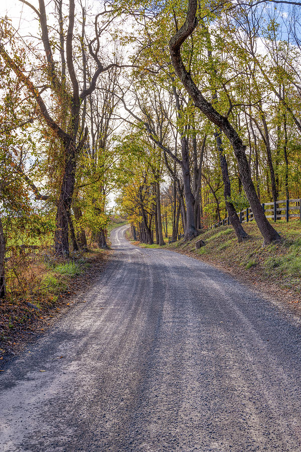 Northern Virginia Country Road Photograph by Donna Twiford
