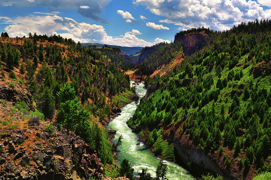 Northern Yellowstone Canyon VIew Photograph by Greg Norrell