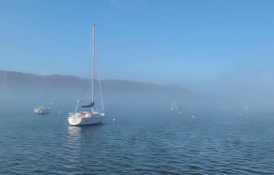 Northport Harbor in the Fog Photograph by Deidre Elzer-Lento