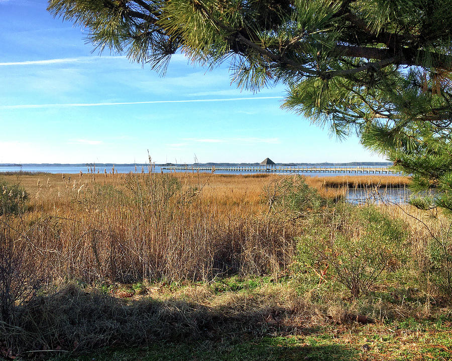 Northside Park Pier and Marsh in Ocean City Photograph by Bill Swartwout