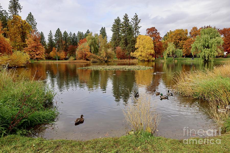 Northwest Autumn Pond Photograph by Carol Groenen