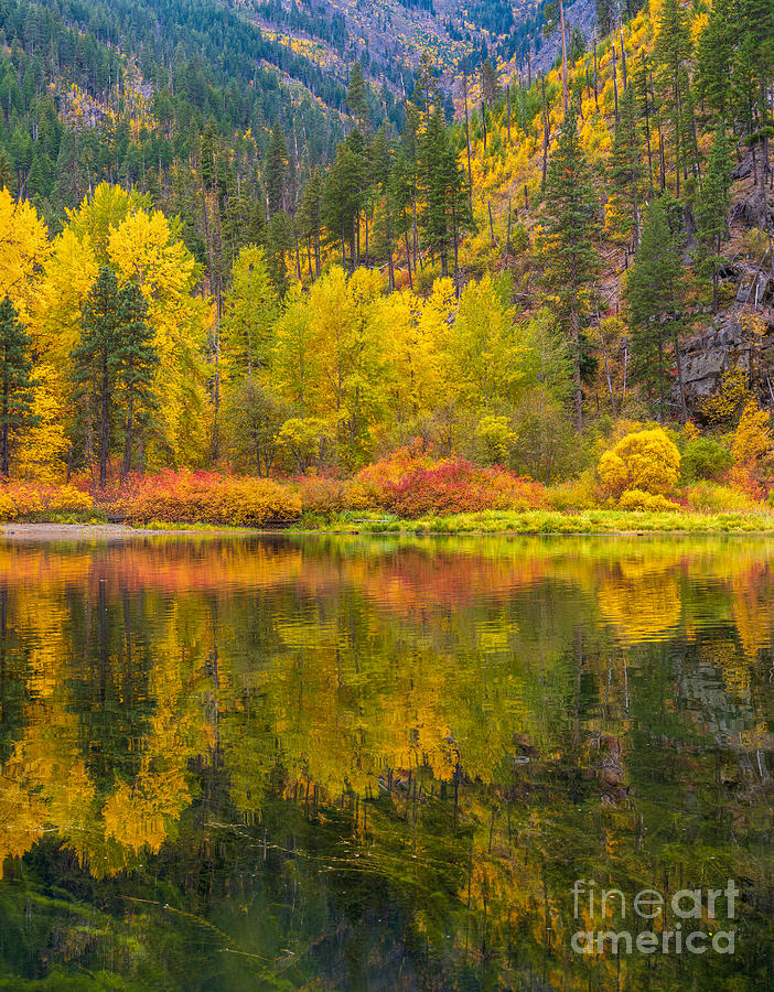 Northwest Fall Colors Reflection Symmetry Photograph