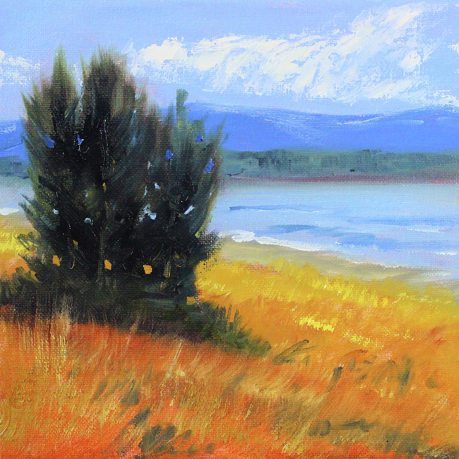 Northwest Shoreline Painting by Nancy Merkle
