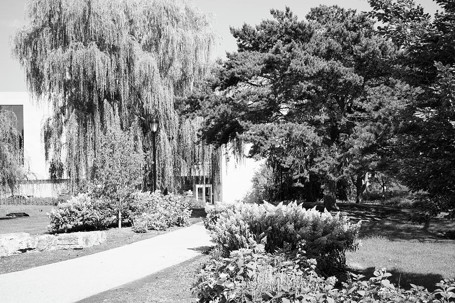 Northwestern University Black and White 8 Photograph by John McGraw
