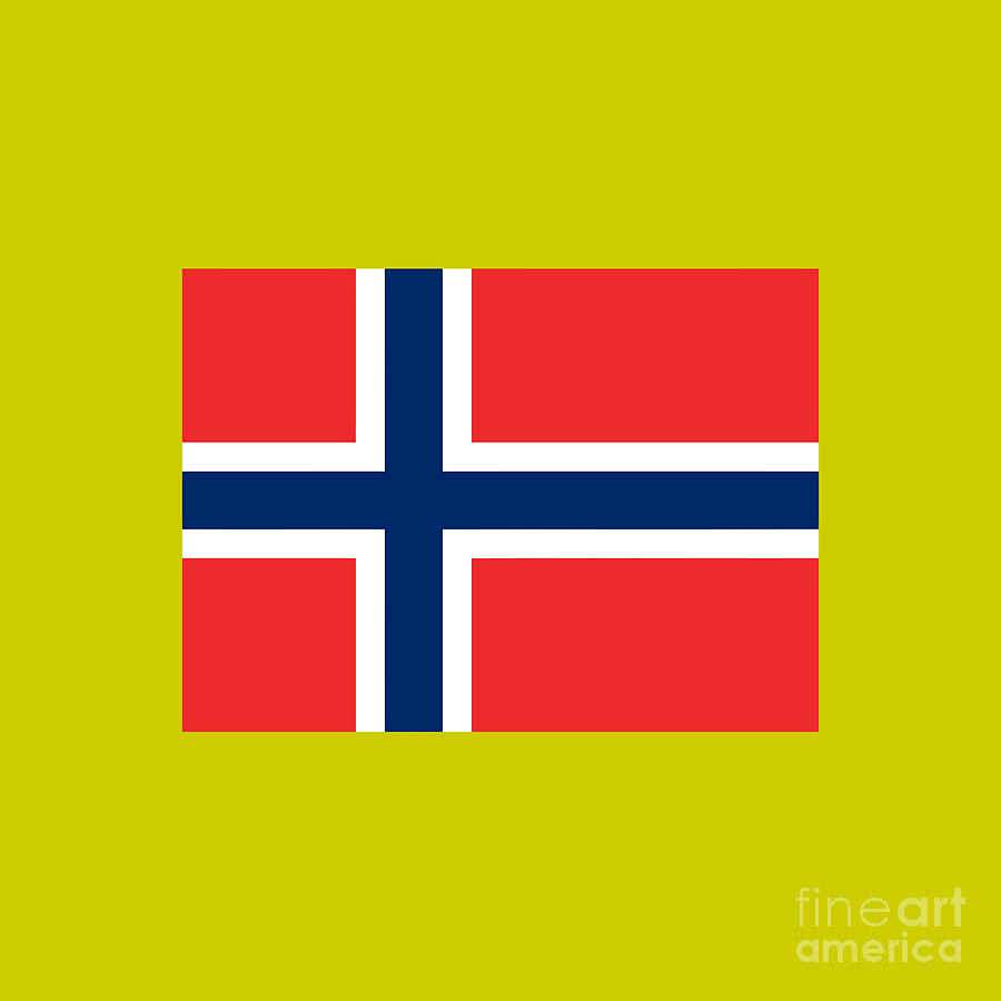 Norway flag Drawing by Vernon B Vanetten - Fine Art America