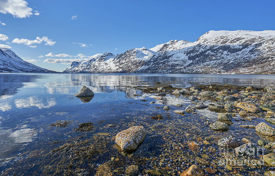 Norway Reflection Photograph by Brian Kamprath