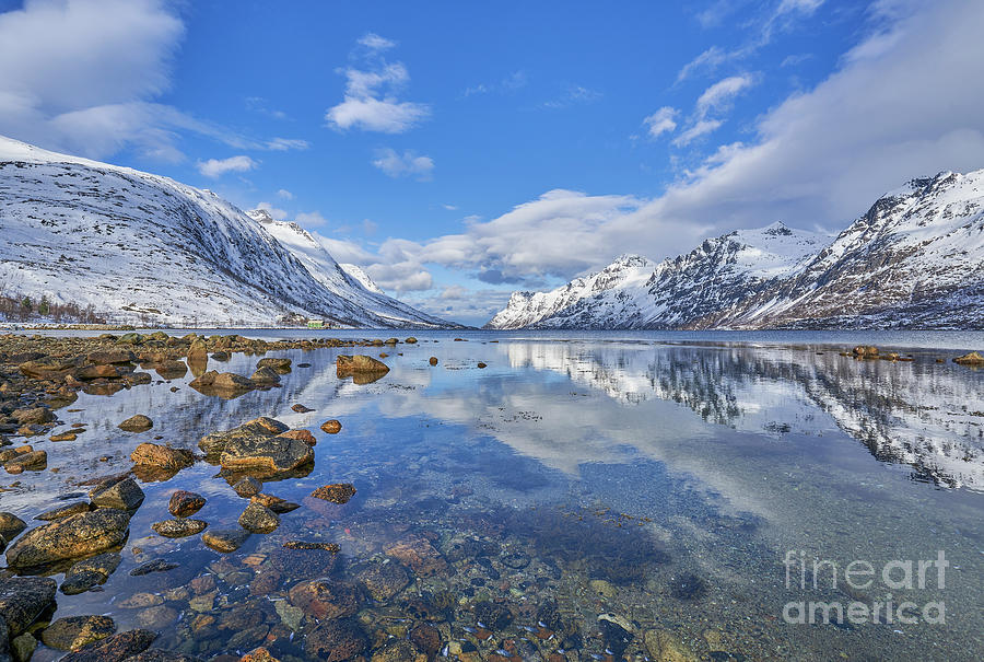Norwegian Fjord  Photograph by Brian Kamprath