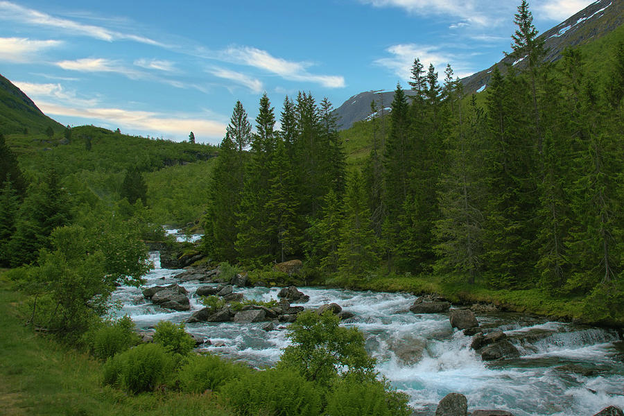 Norwegian Mountain Stream Photograph by Matthew DeGrushe