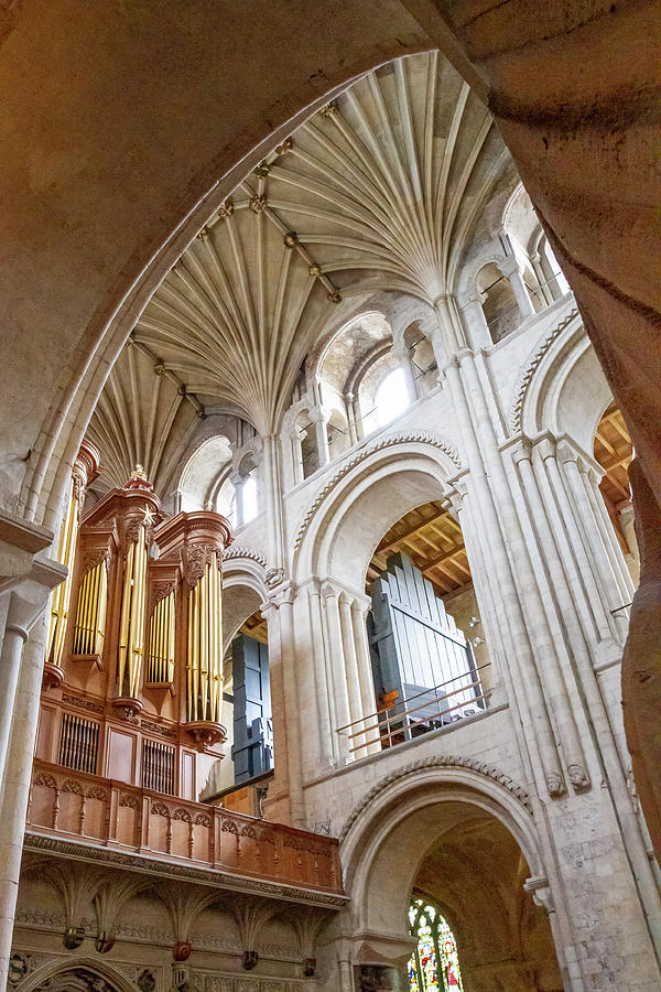 Norwich Cathedral Organ Pipes Photograph by Shirley Mitchell