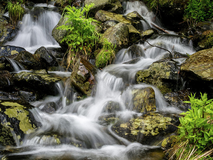 Nosebag Creek Photograph By Corey Vogel Fine Art America