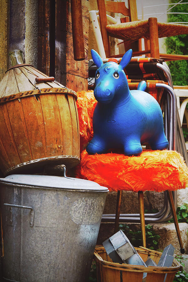 Bouncy horse hopper in flea market Photograph by Carolina Reina - Fine ...