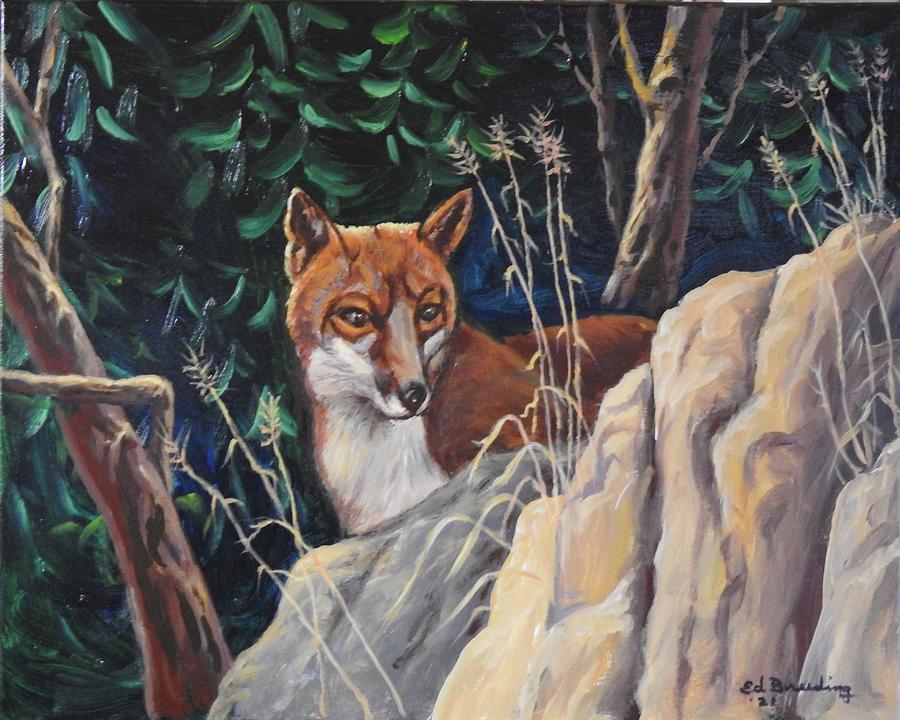 Nosy Fox Painting by Ed Breeding
