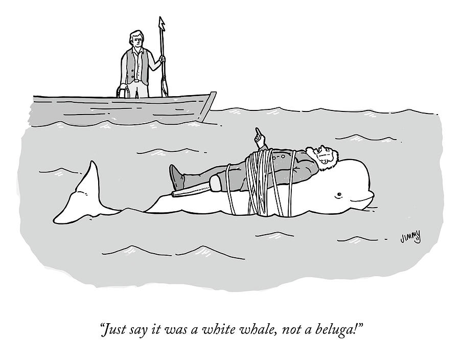Not a Beluga Drawing by Jimmy Craig