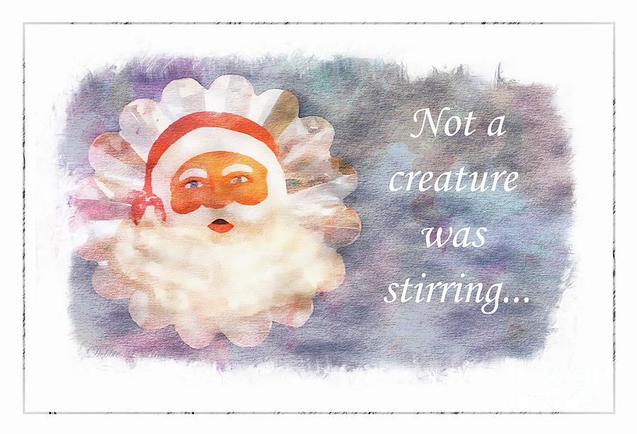 Not A Creature Was Stirring Photograph