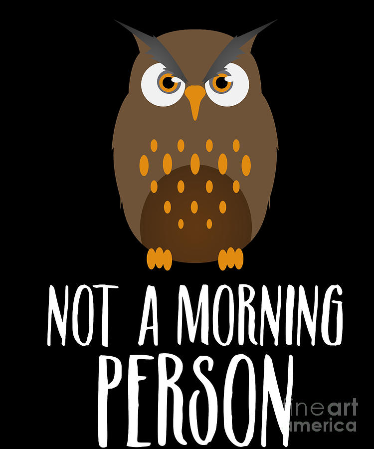 Not A Morning Person Funny Lazy Owl Night Hunter Nocturnal Birds ...