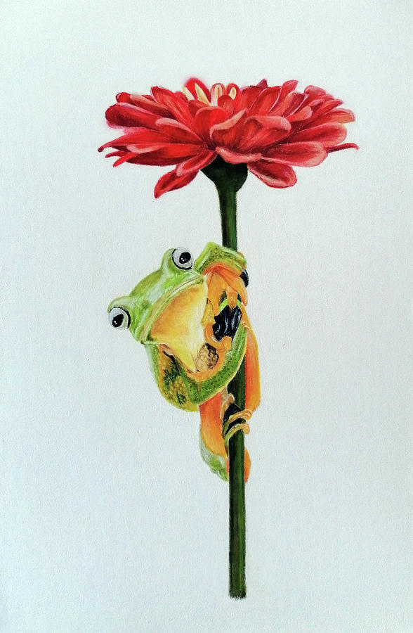 Not a prince, just a frog Pastel by Saskia Hendriks - Pixels