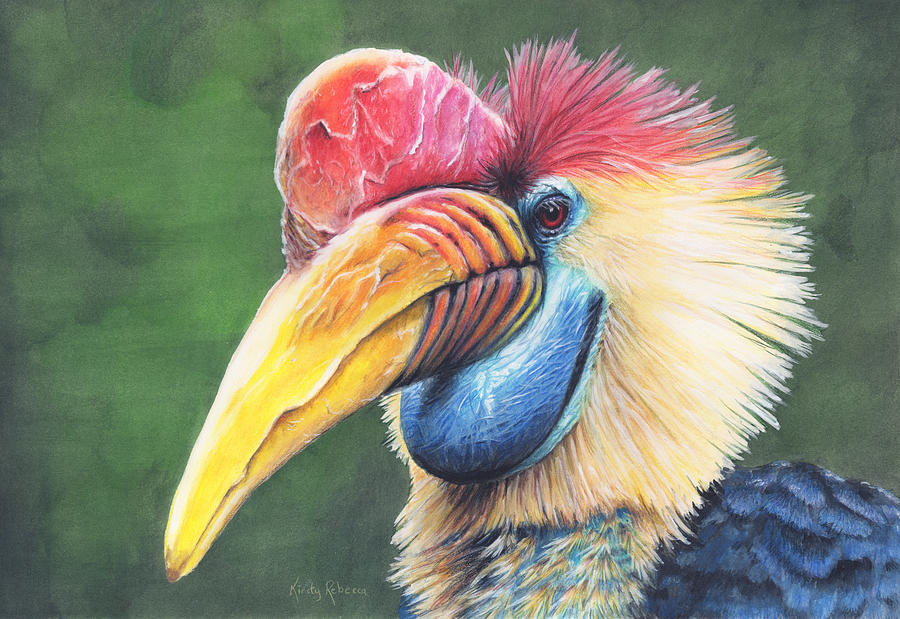 Hornbill Painting - Striking by Kirsty Rebecca