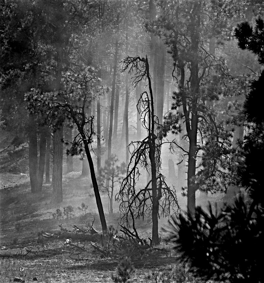 Not Fog, Not Smoke But Dust Photograph by Rudolf Volkmann