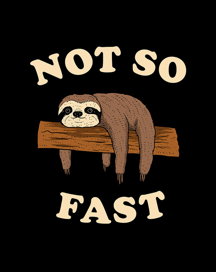 Not So Fast Sloth Funny Pun Digital Art by Xuan Tien Luong