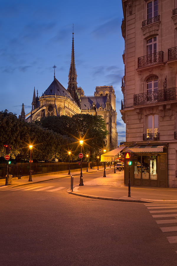 Notre Dame at dusk Photograph by David Briard