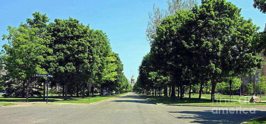 Notre Dame Avenue  University of Notre Dame 6876 Photograph by Jack Schultz