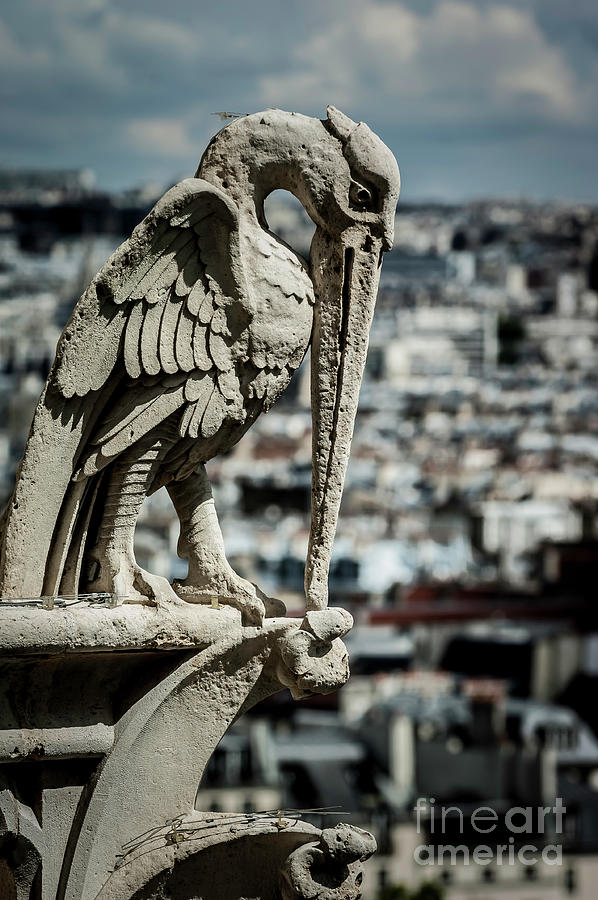 Paris Photograph - Notre Dame Cathedral 10 by Micah May Paris Photograph - Notre Dame Cathedral 10 by Micah May
