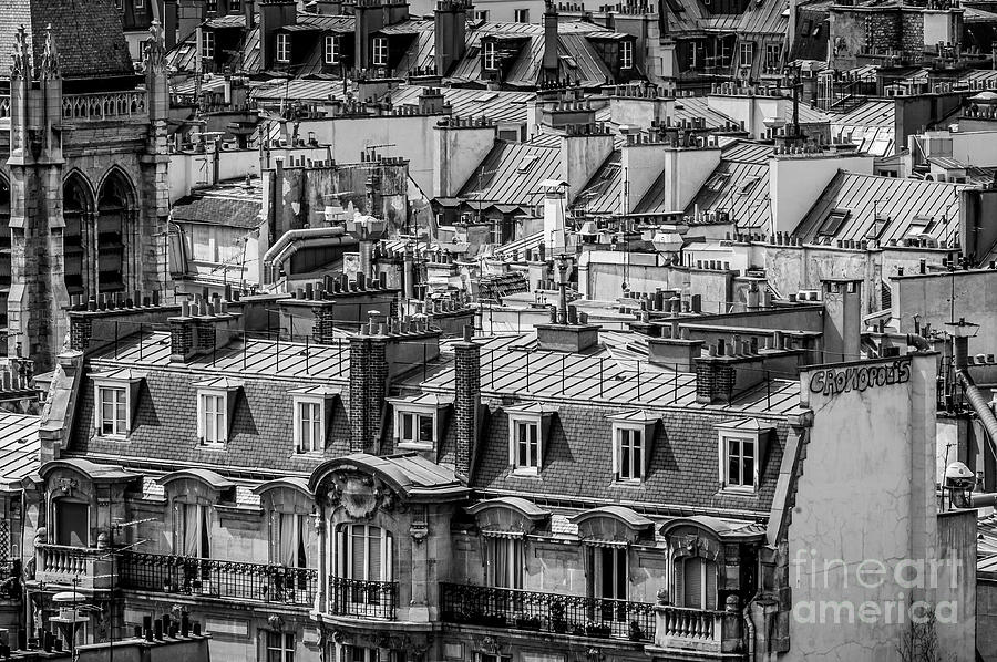 The Paris Roof Tops Photograph