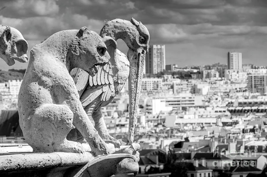 Paris Photograph - Notre Dame Cathedral 7 by Micah May Paris Photograph - Notre Dame Cathedral 7 by Micah May