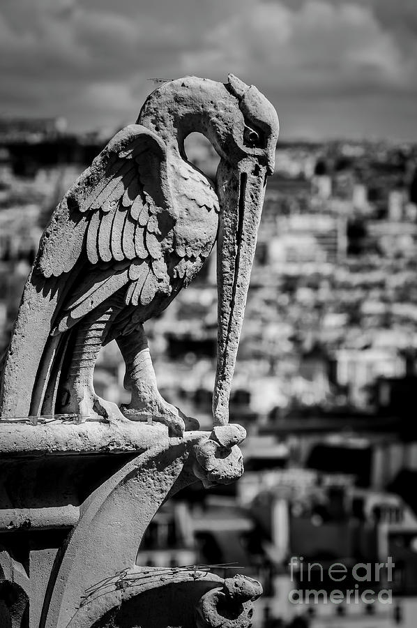 Paris Photograph - Notre Dame Cathedral 9 by Micah May Paris Photograph - Notre Dame Cathedral 9 by Micah May