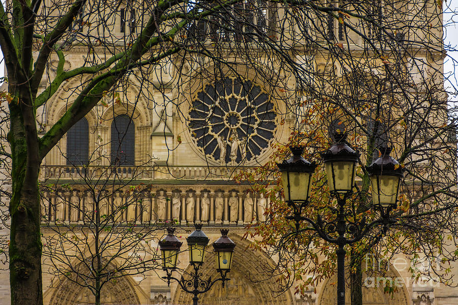 Notre Dame Cathedral among branches Photograph by Vicente Sargues