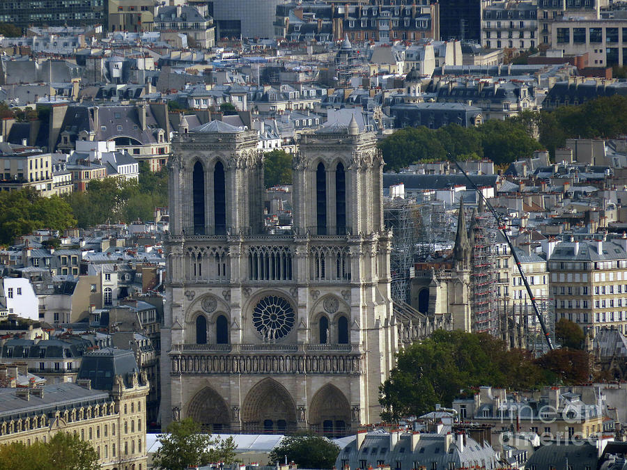 Notre Dame Cathedral Rebuilding Photograph by Steven Spak