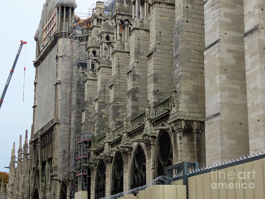 Notre Dame Cathedral reconstruction Photograph by Steven Spak