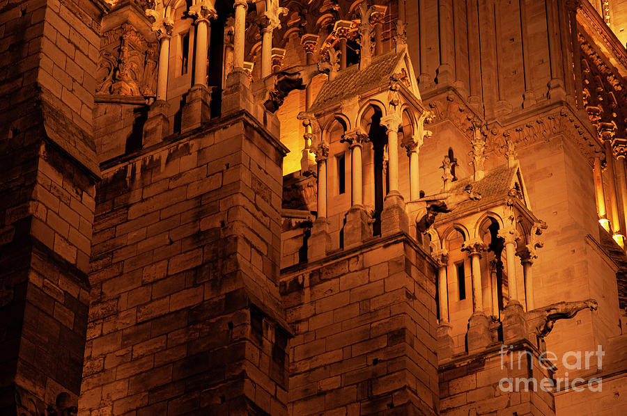 Notre-Dame de Paris Gargoyle Triplets at Night  Photograph by Bob Phillips