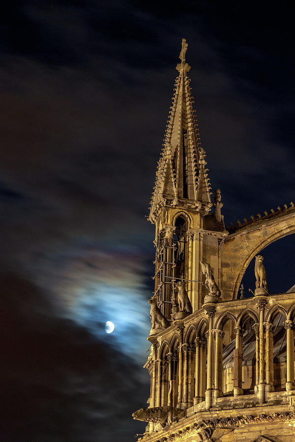 Notre-Dame de Reims Cathedral at Night Photograph by W Chris Fooshee